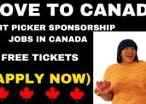 Fruit Picking Jobs in Canada with Visa Sponsorship