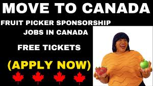 Fruit Picking Jobs in Canada with Visa Sponsorship