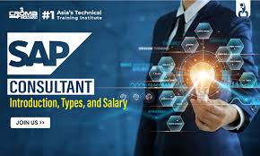 Expert SAP Consultant Fast